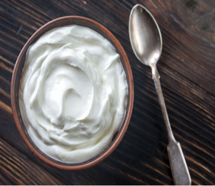 Greek Style Yogurt